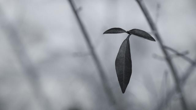 QQ空间暗色系背景图