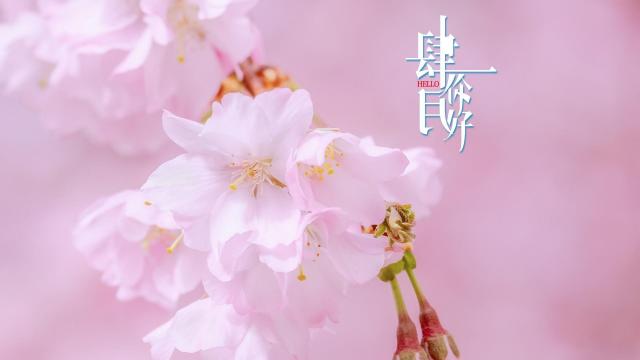 四月你好,时光流逝