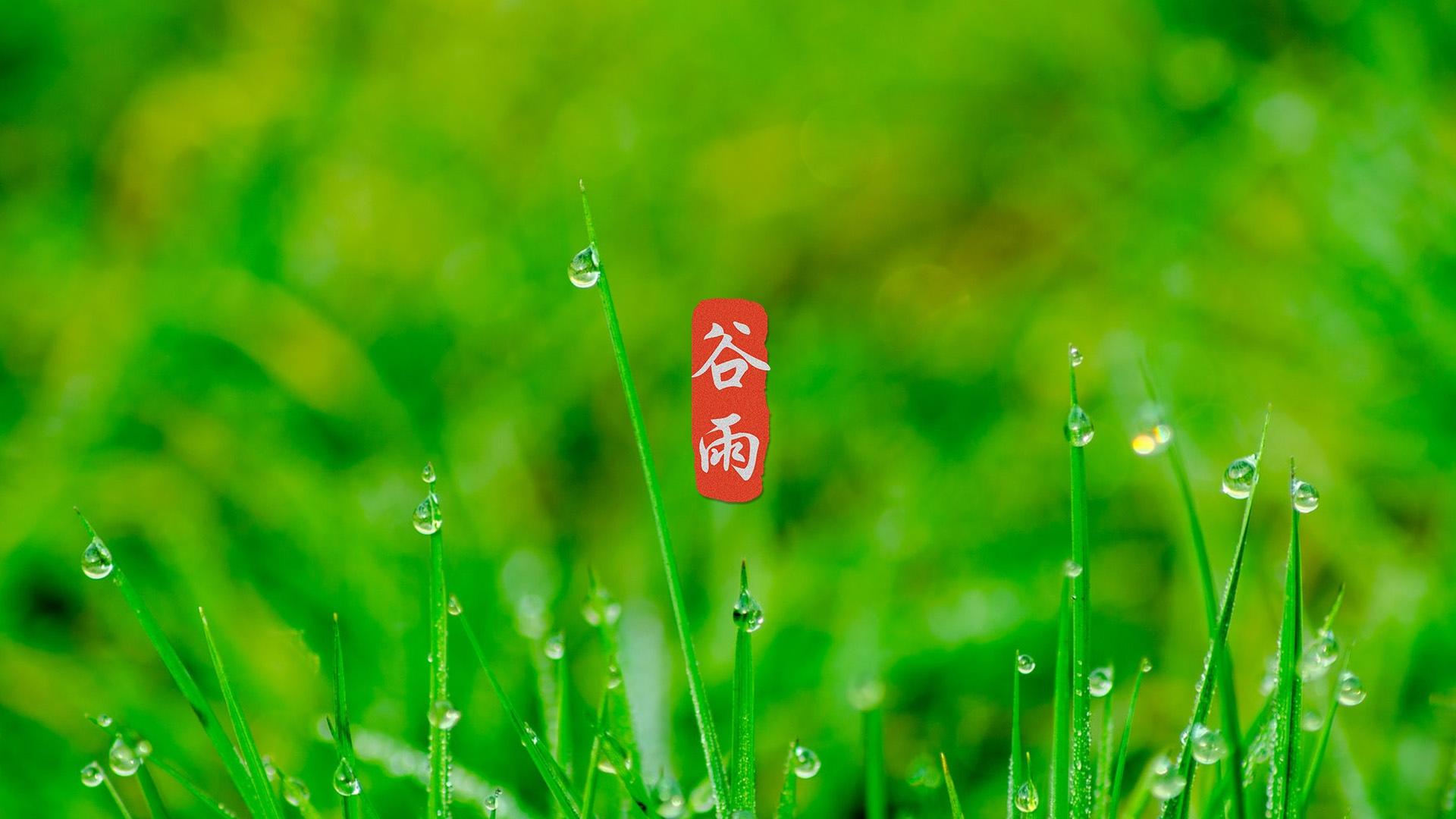 小清新谷雨节气开心到来