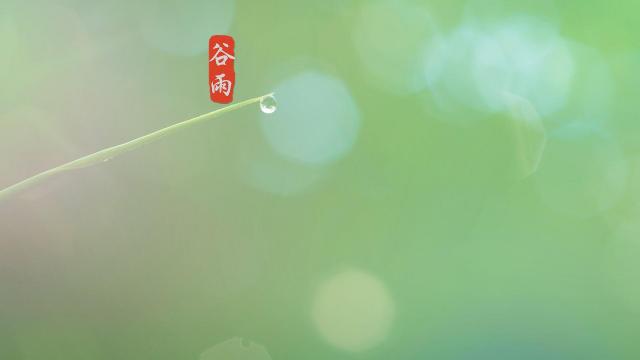 小清新谷雨节气开心到来