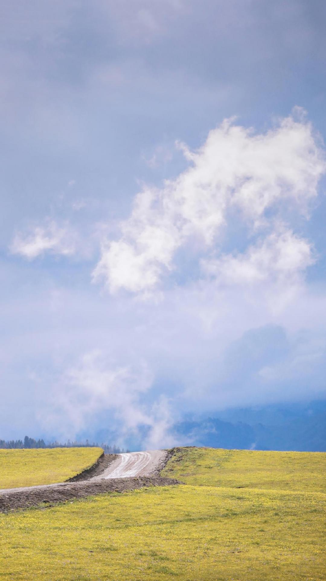 清新养眼的自然草原优美风景