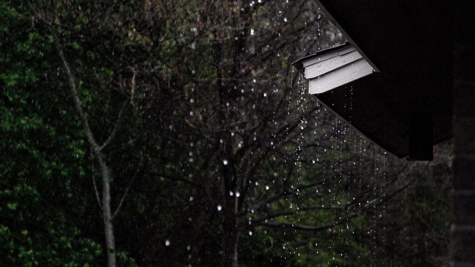 24节气:清明时节雨纷纷