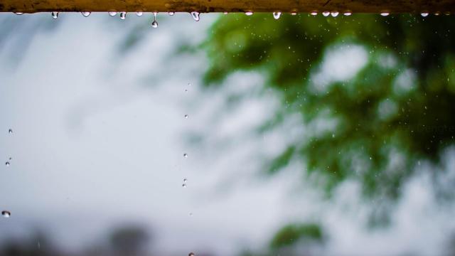 24节气:清明时节雨纷纷