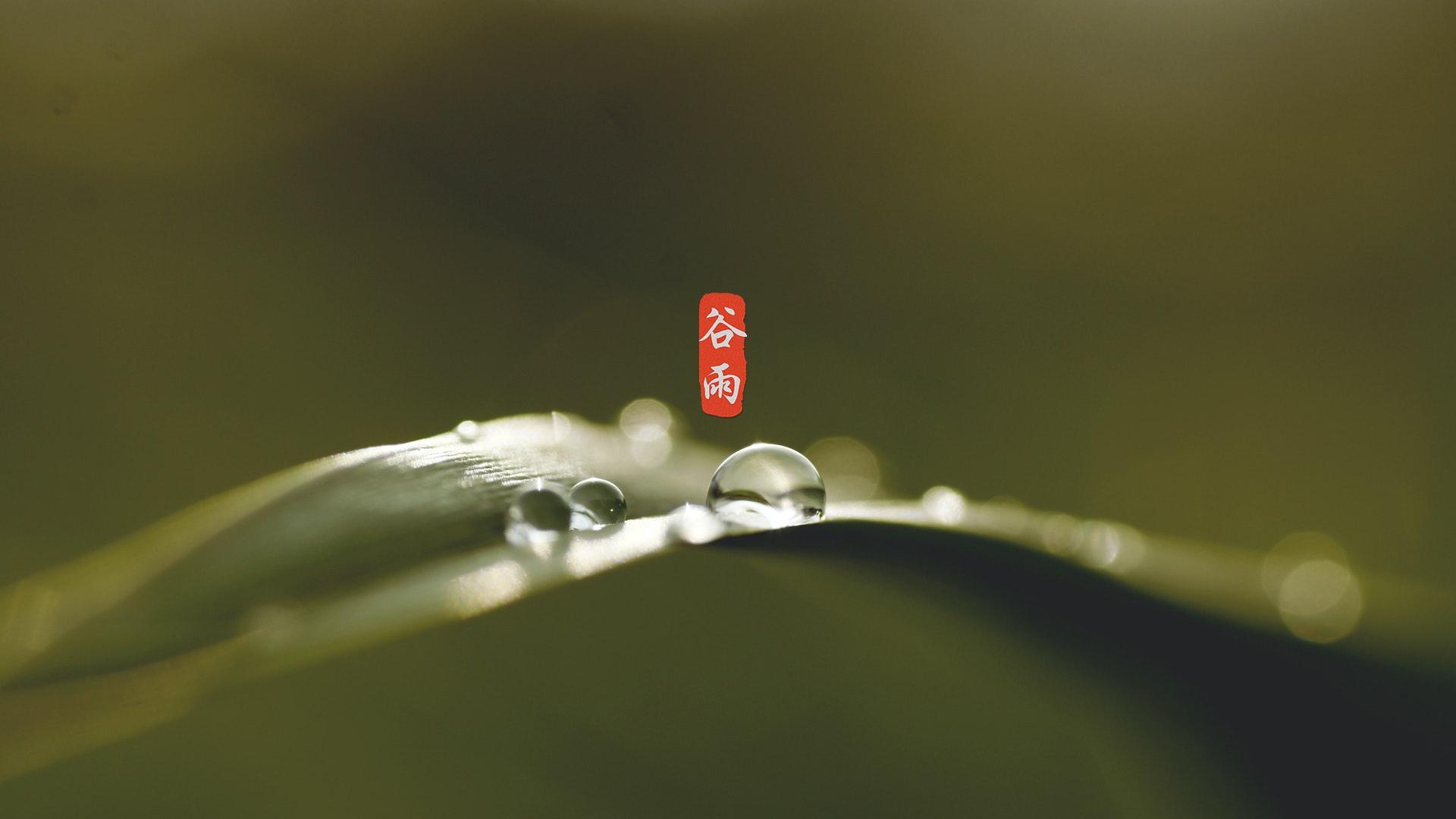充满小清新的24时节谷雨