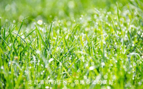 24时节清明节的踏青之路