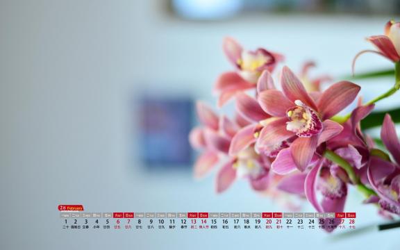 2021年2月中国十大名花之四兰花鲜艳写真日历