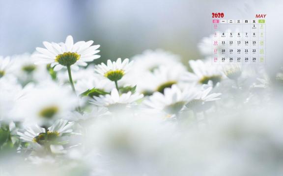 2020年5月小清新唯美花朵日历写真