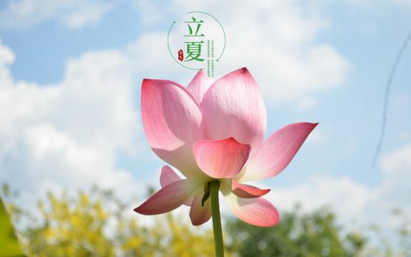 24时节立夏唯美诗意