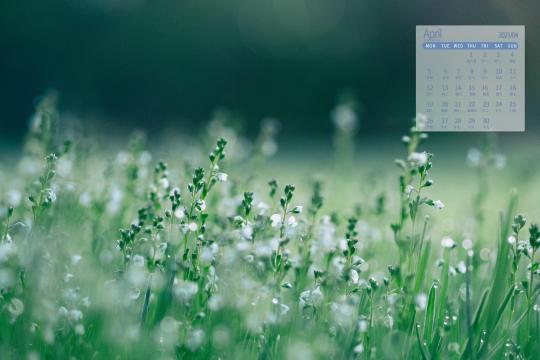 2021年4月春天生机勃勃的自然风光写真日历