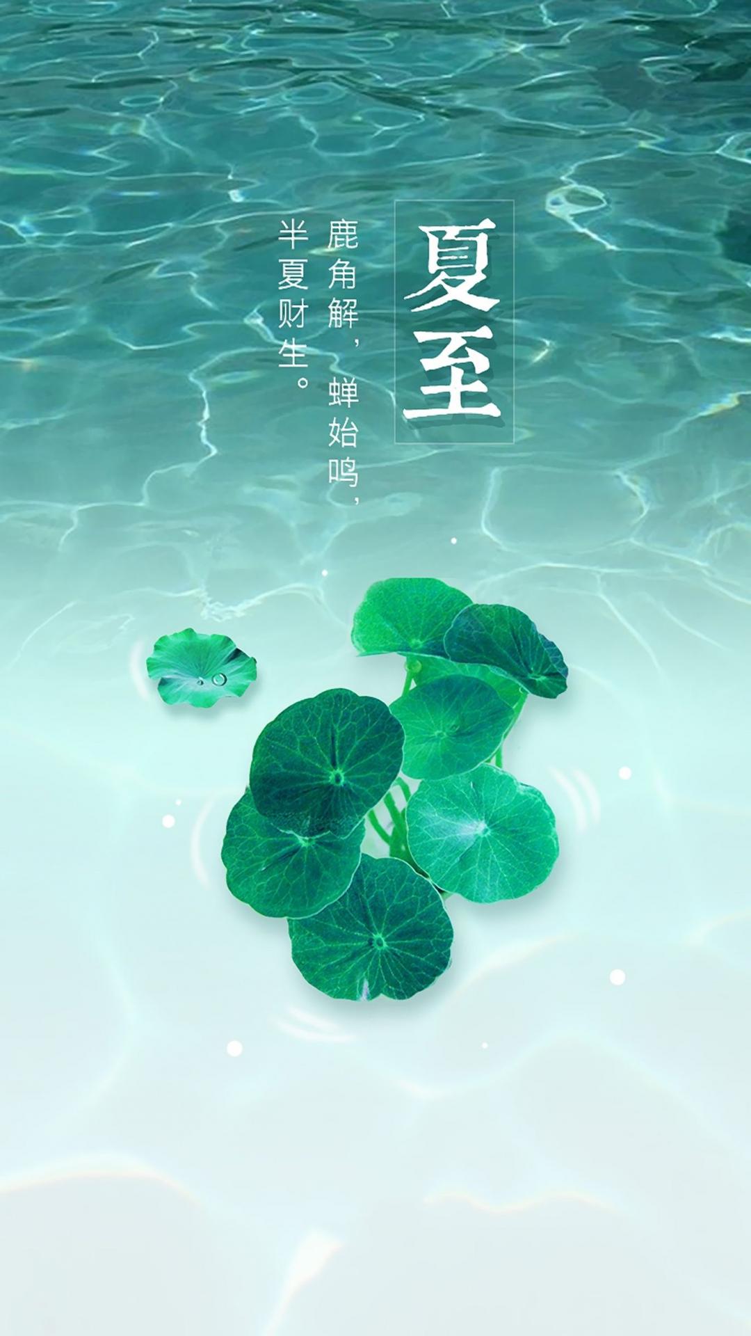24节气夏至小清新锁屏