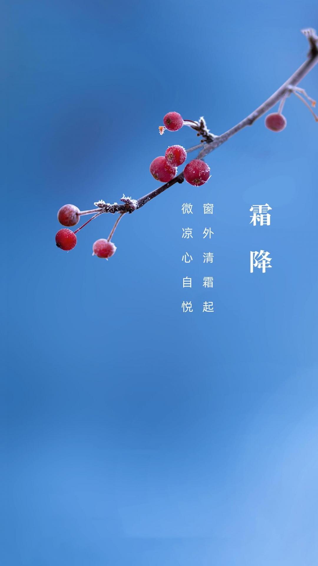 霜降时节到来