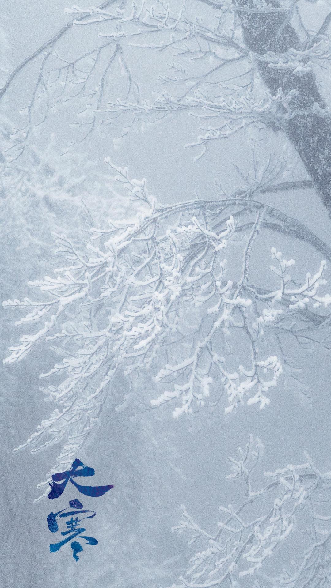 大寒时节唯美冬天雪景风光