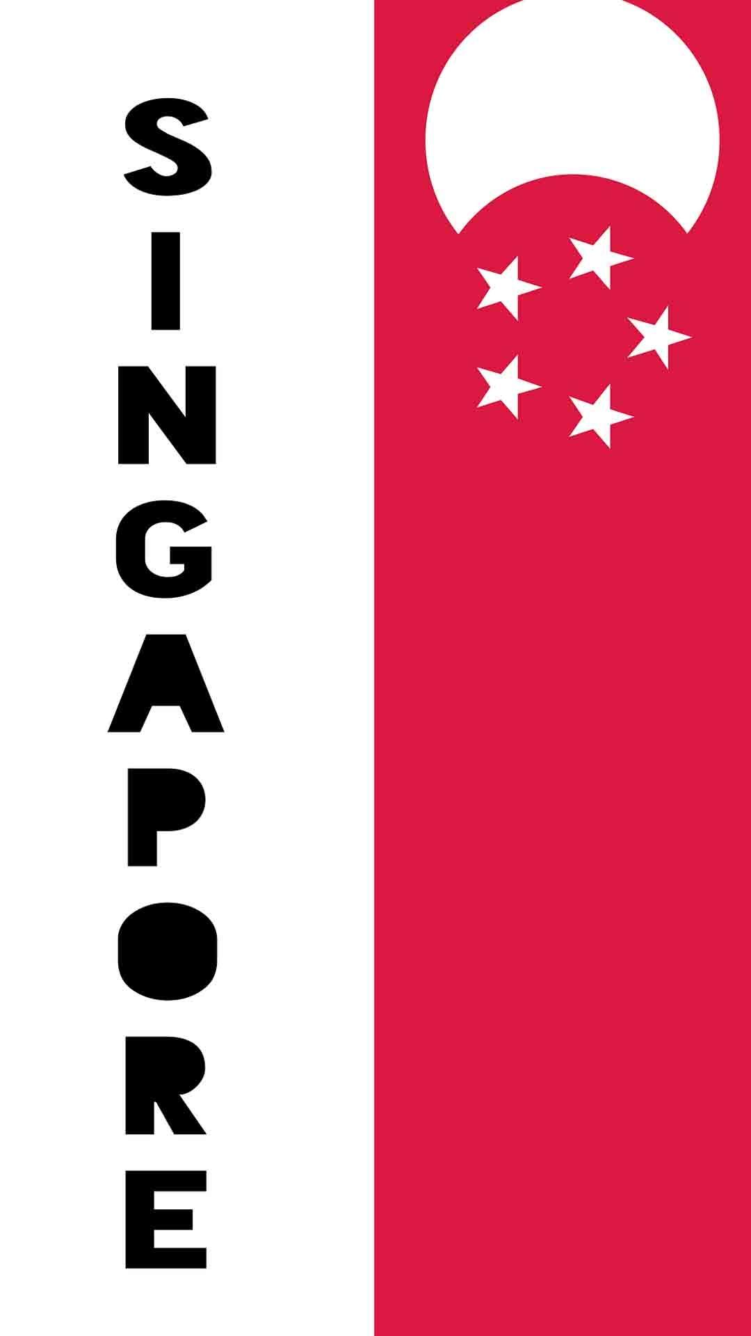 2020东京奥运会新加坡国旗