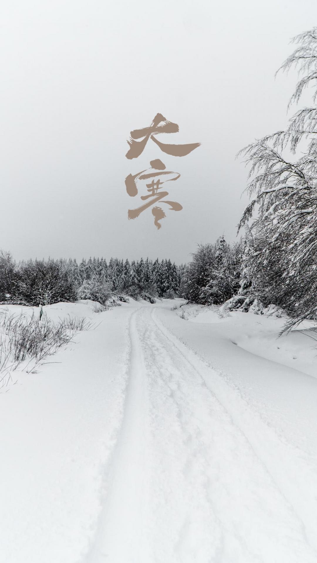 大寒时节唯美迷人的雪景
