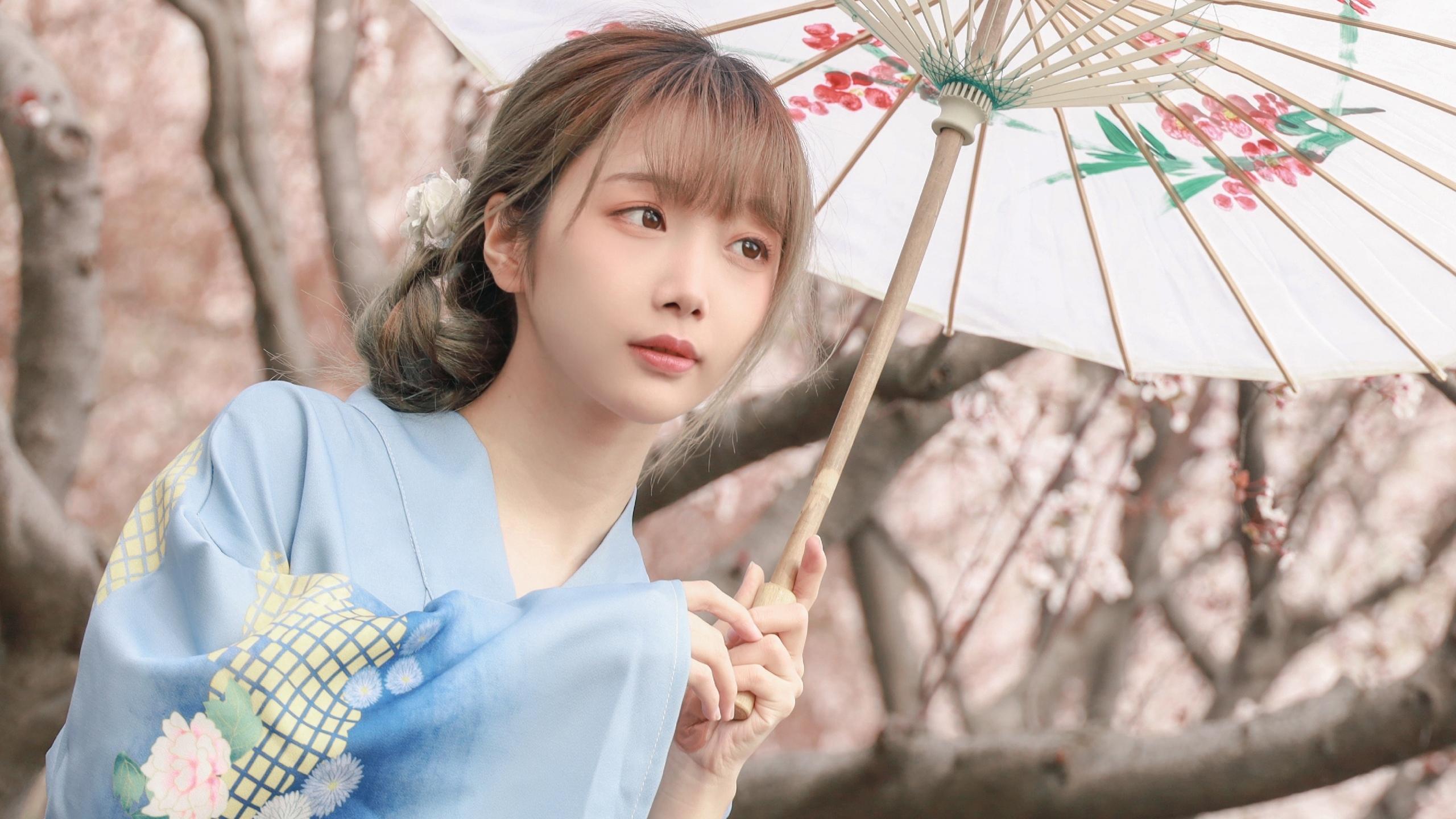 春天樱花季和服少女写真