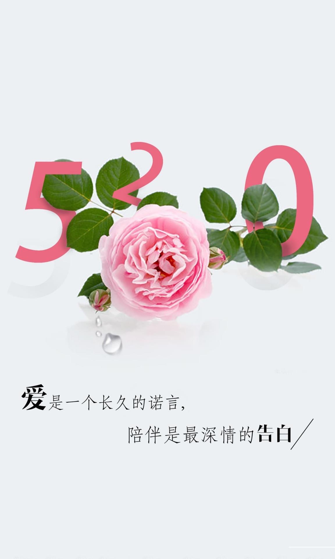520最美的情话