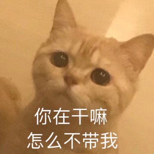 可爱猫咪表情