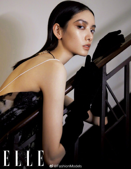 白日美人