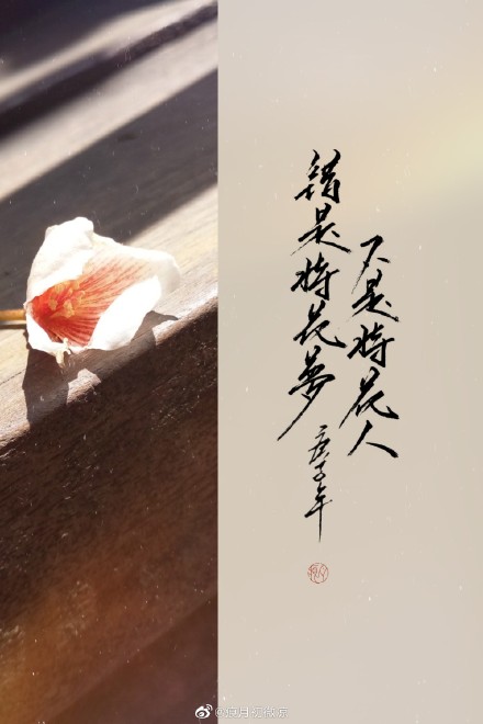 自摄底图——拾