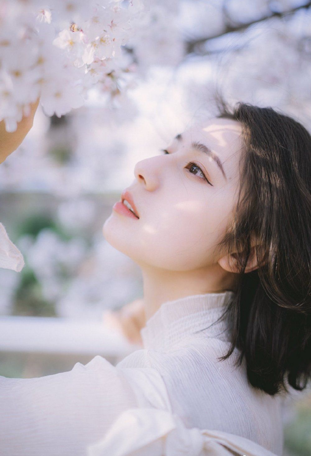 日系风格美女樱花唯美小清新人像写真图片