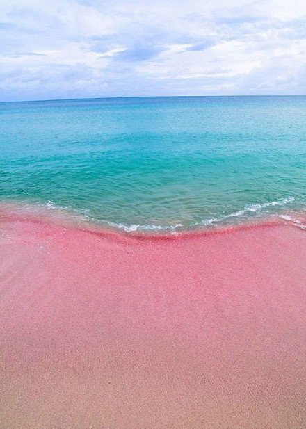 哈勃岛的粉色海滩