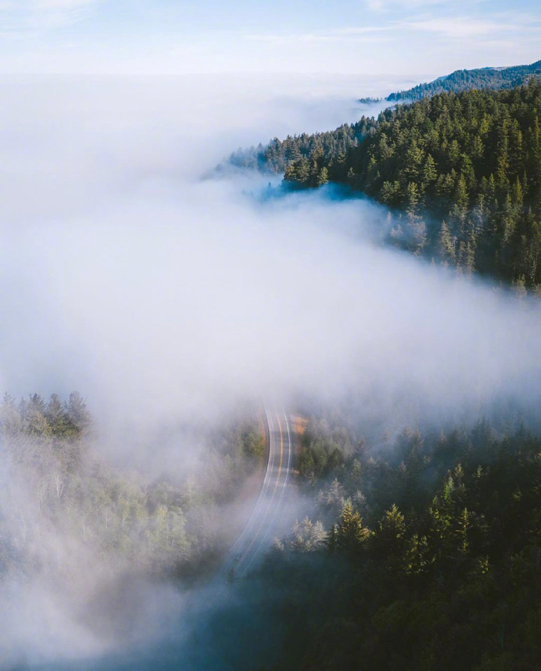 加利福尼亚的风景