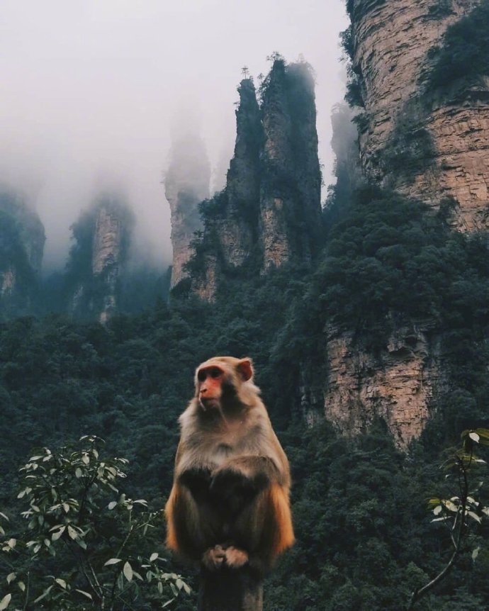 张家界