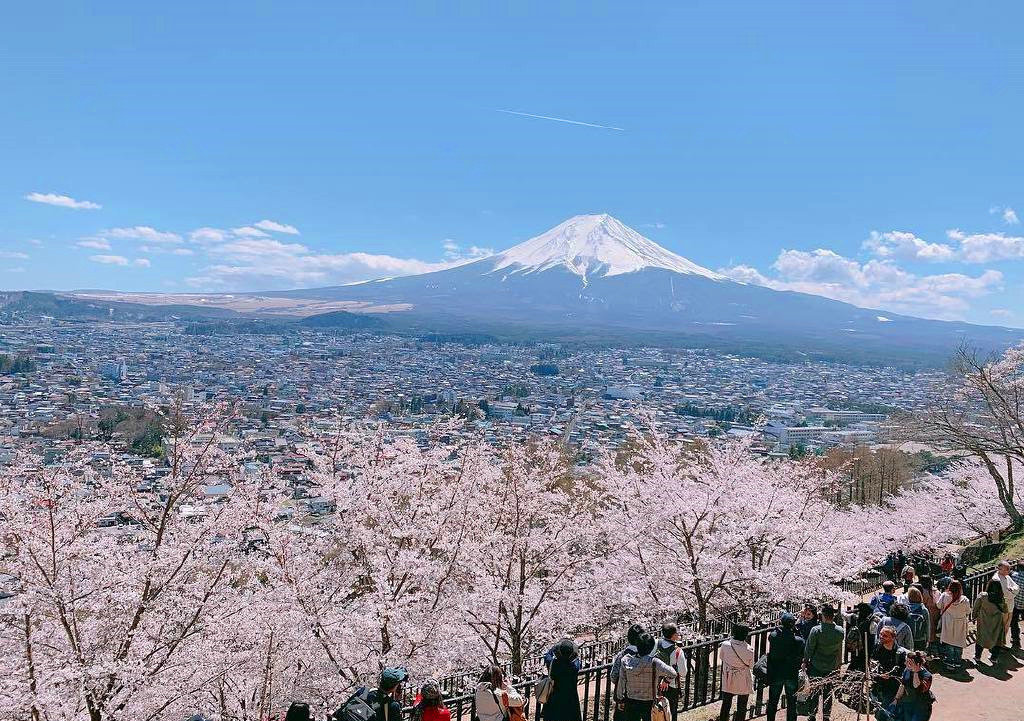 新仓山浅间公园
