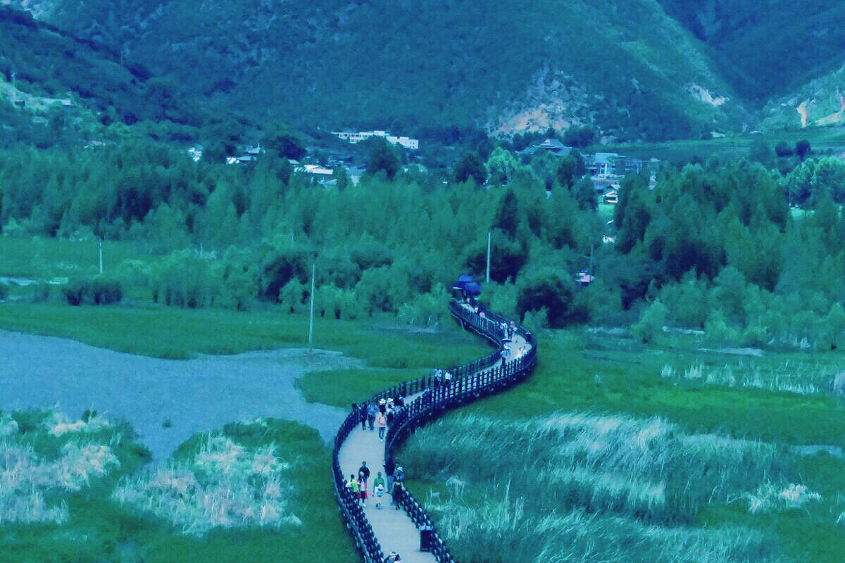 泸沽湖草海的春日风光