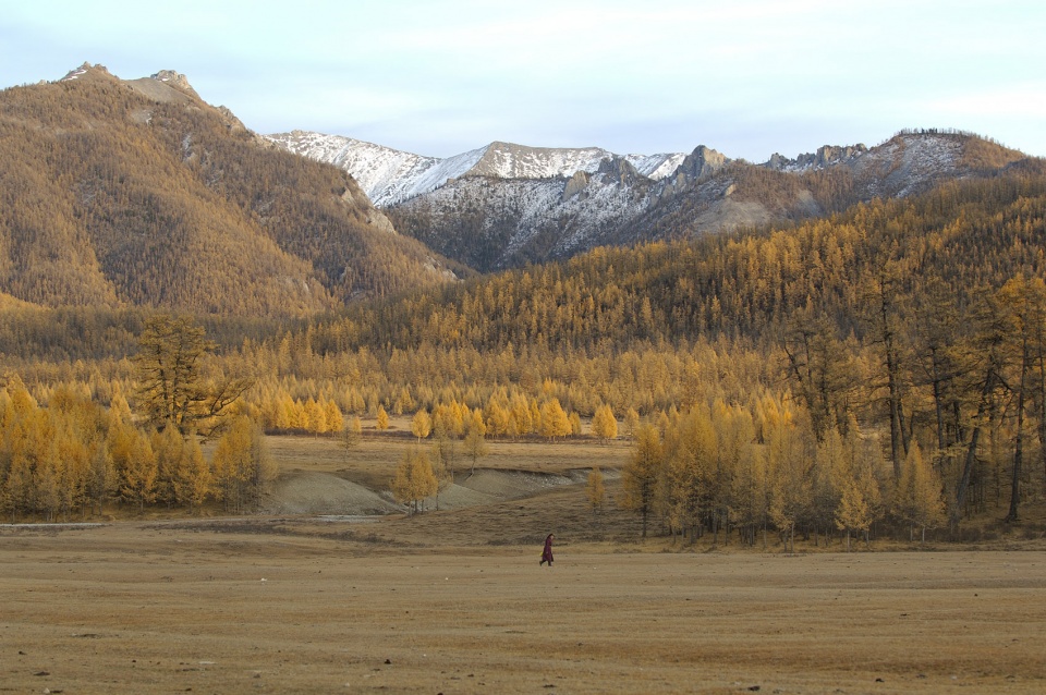 Marc Progin摄影展：“Back to Nature”