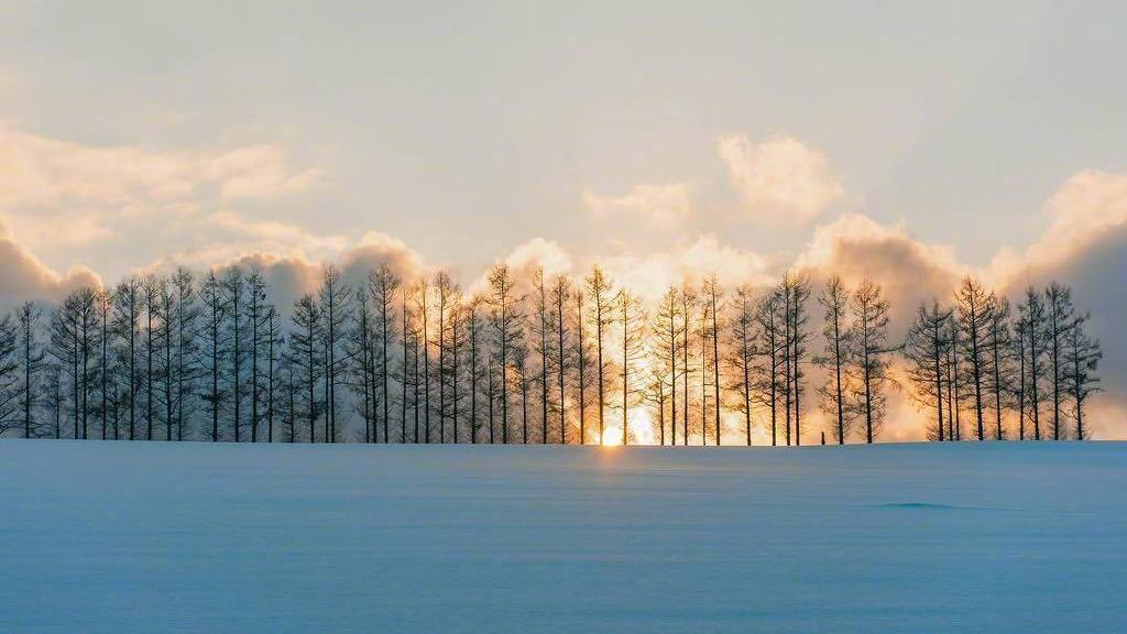 北海道的雪