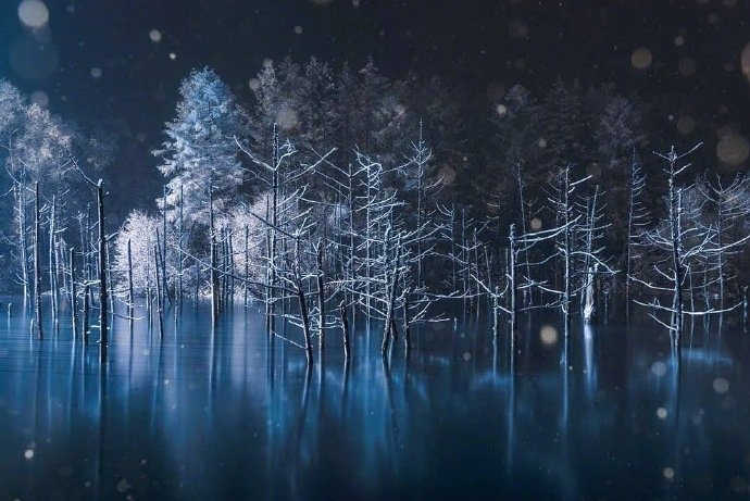 北海道美瑛青池夜景