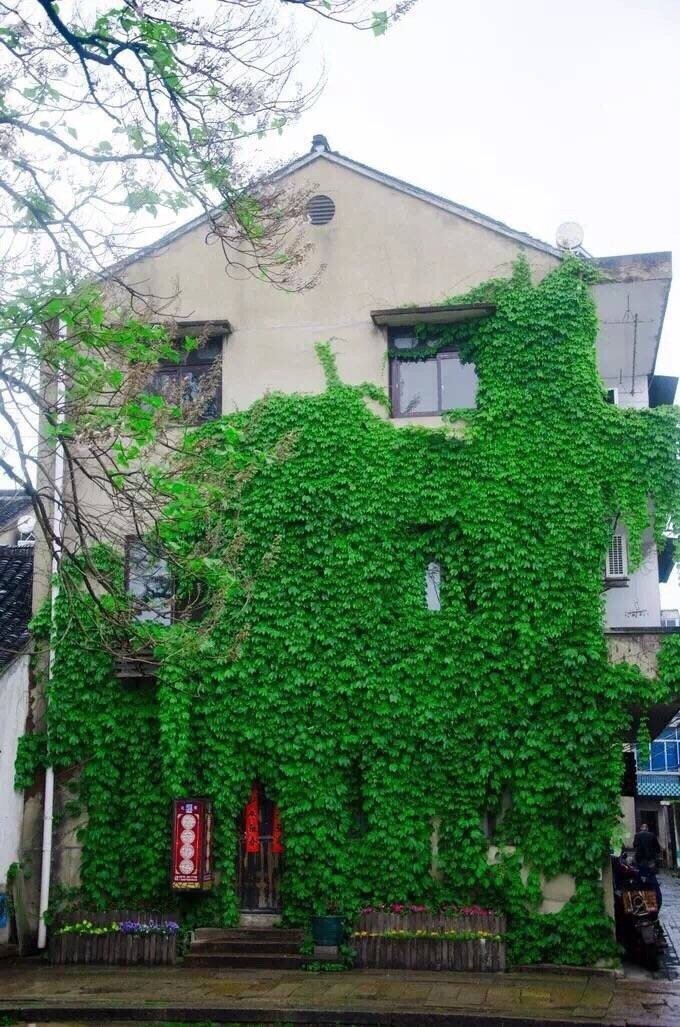 南浔古镇的春天