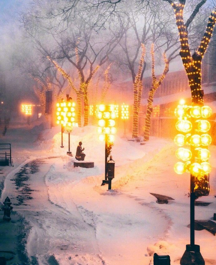 漫步在波士顿的雪地