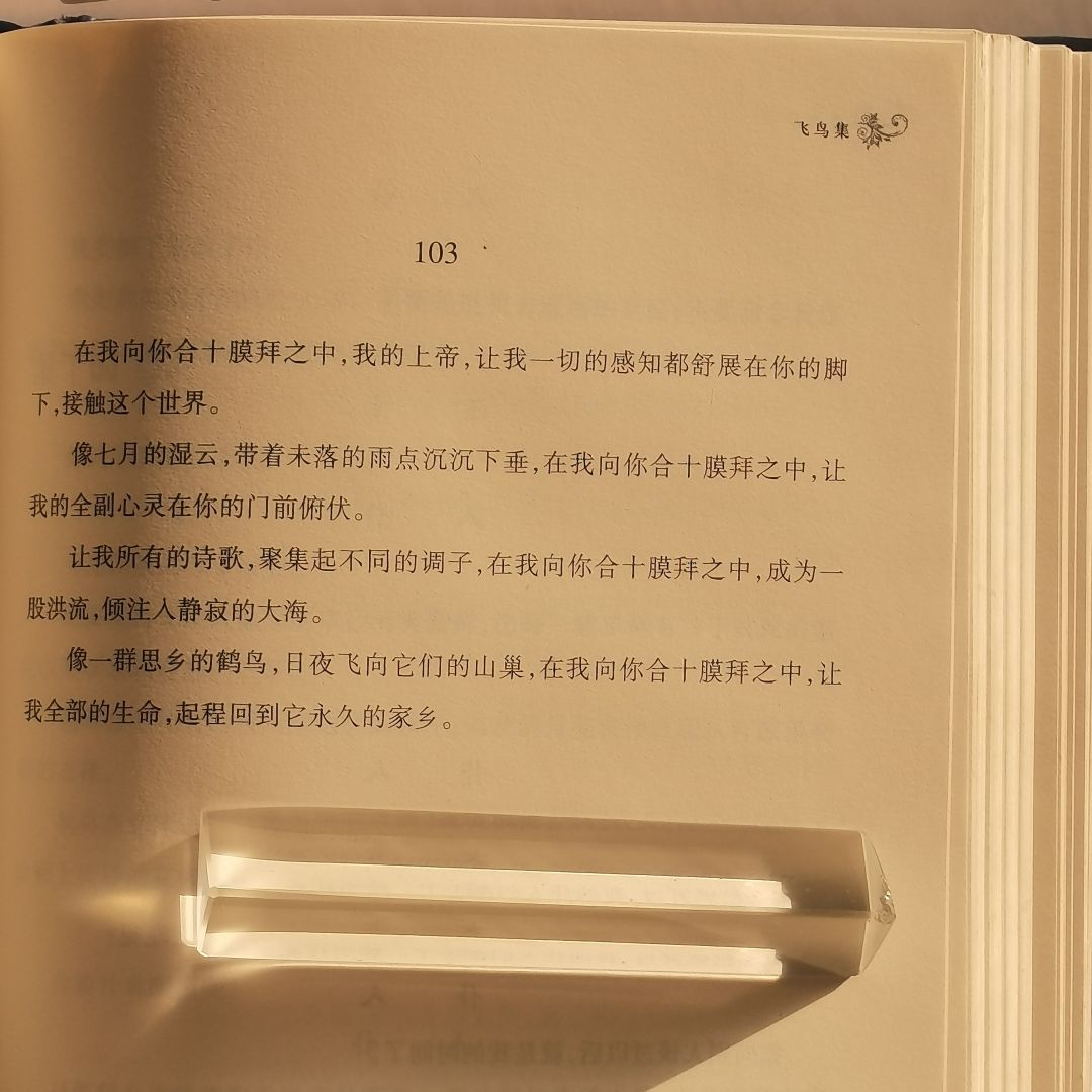 泰戈尔的诗