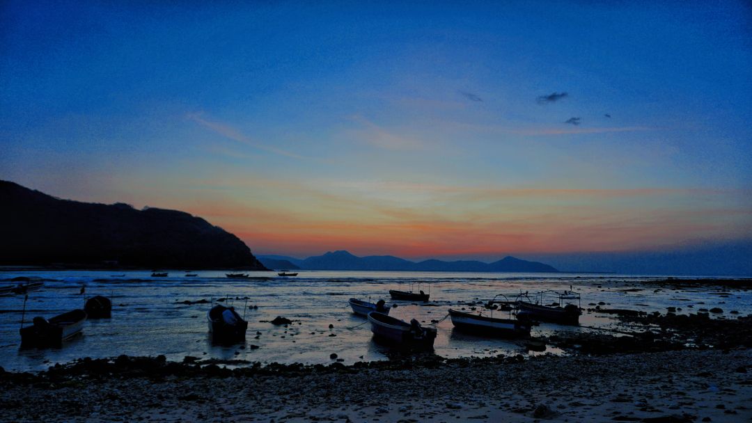 东海
