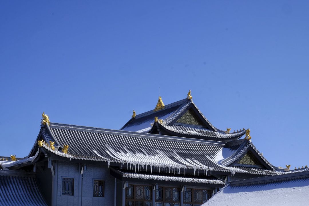 跟父母的旅行