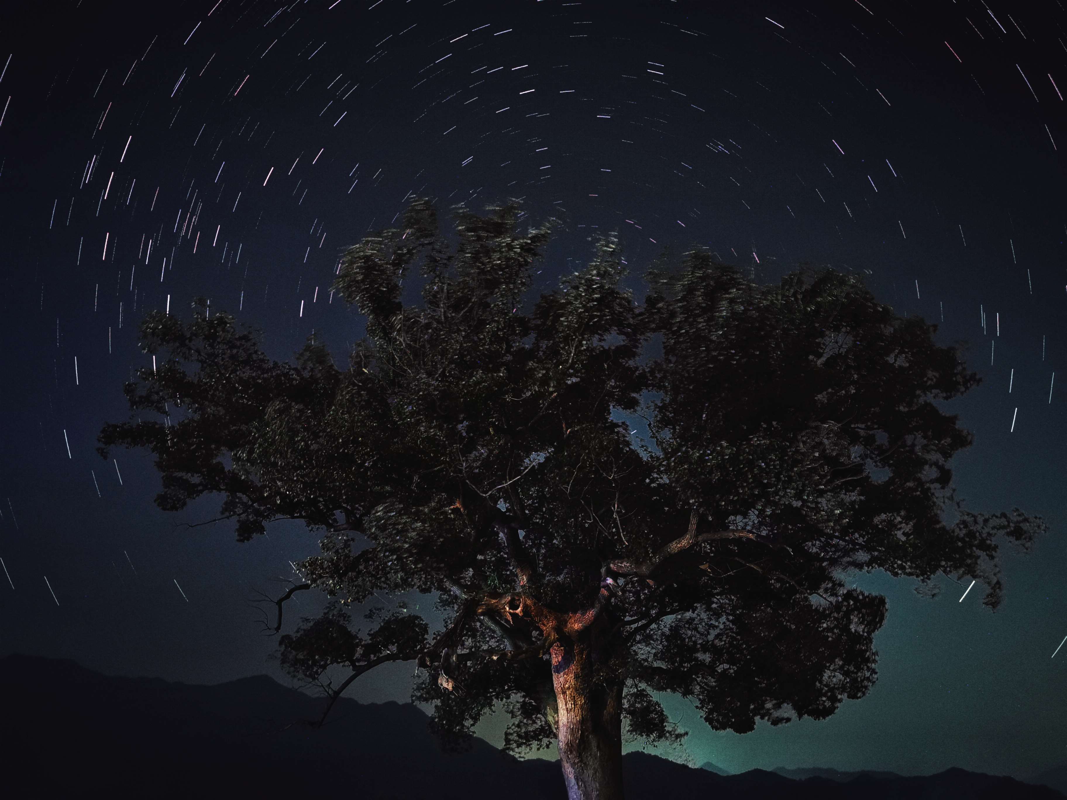 冬夜星空