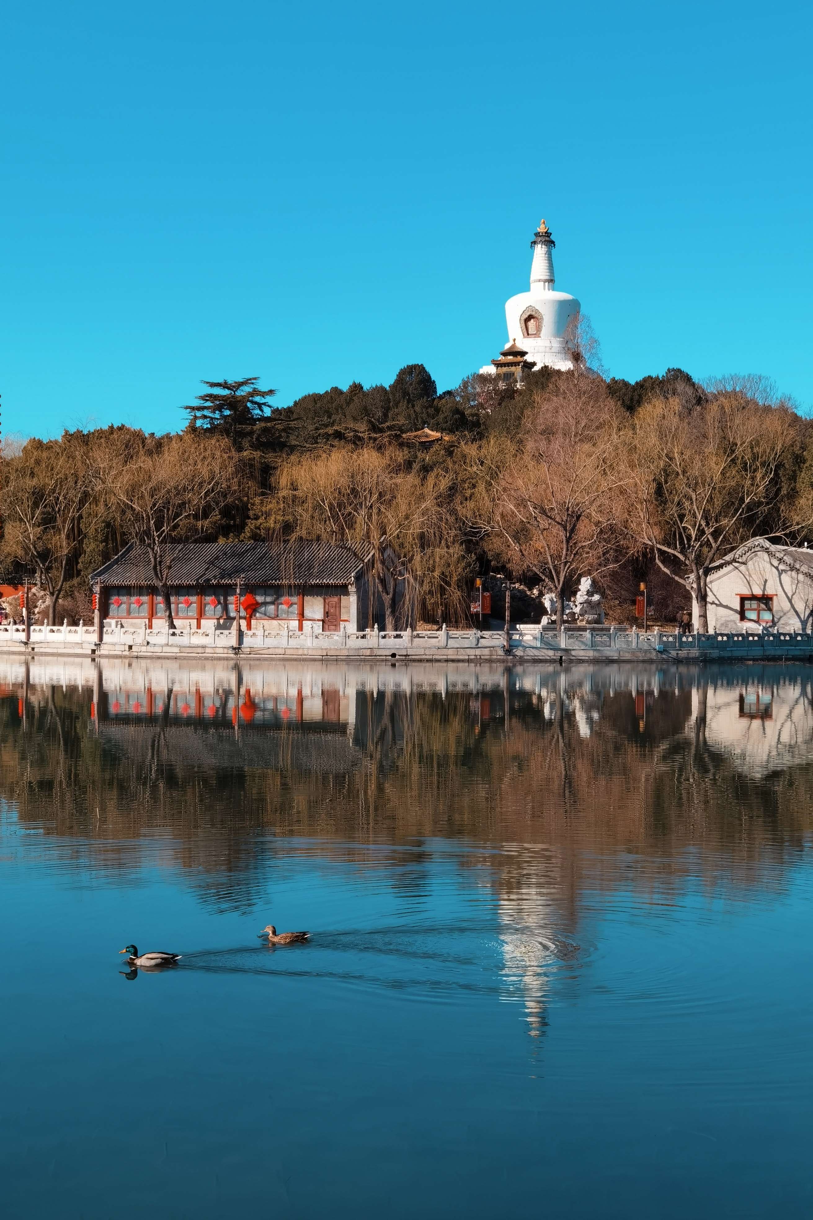 初春之北海公园