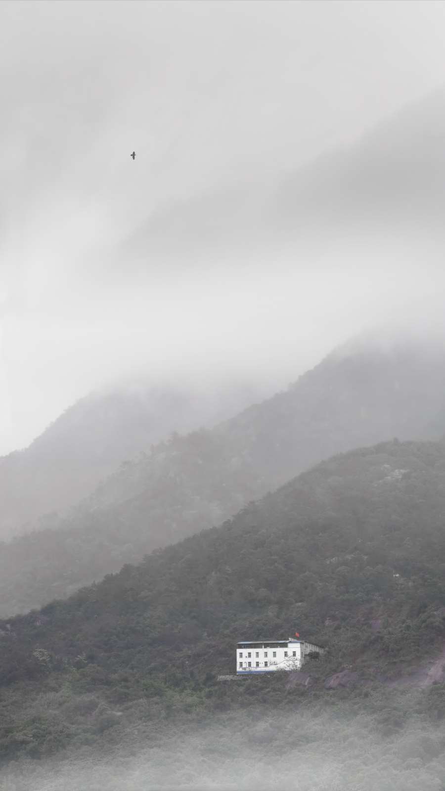 雨欲来