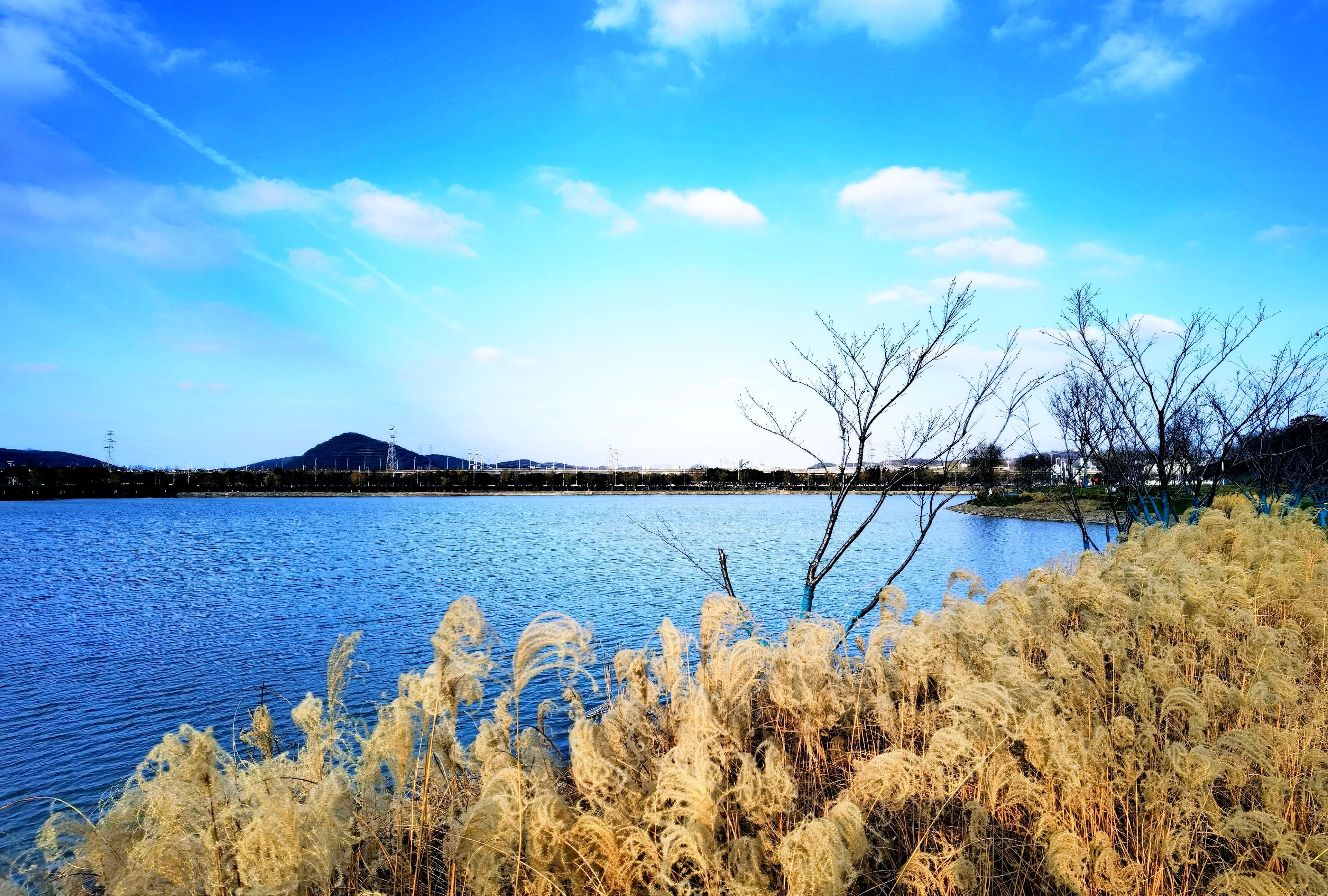 羊山湖公园