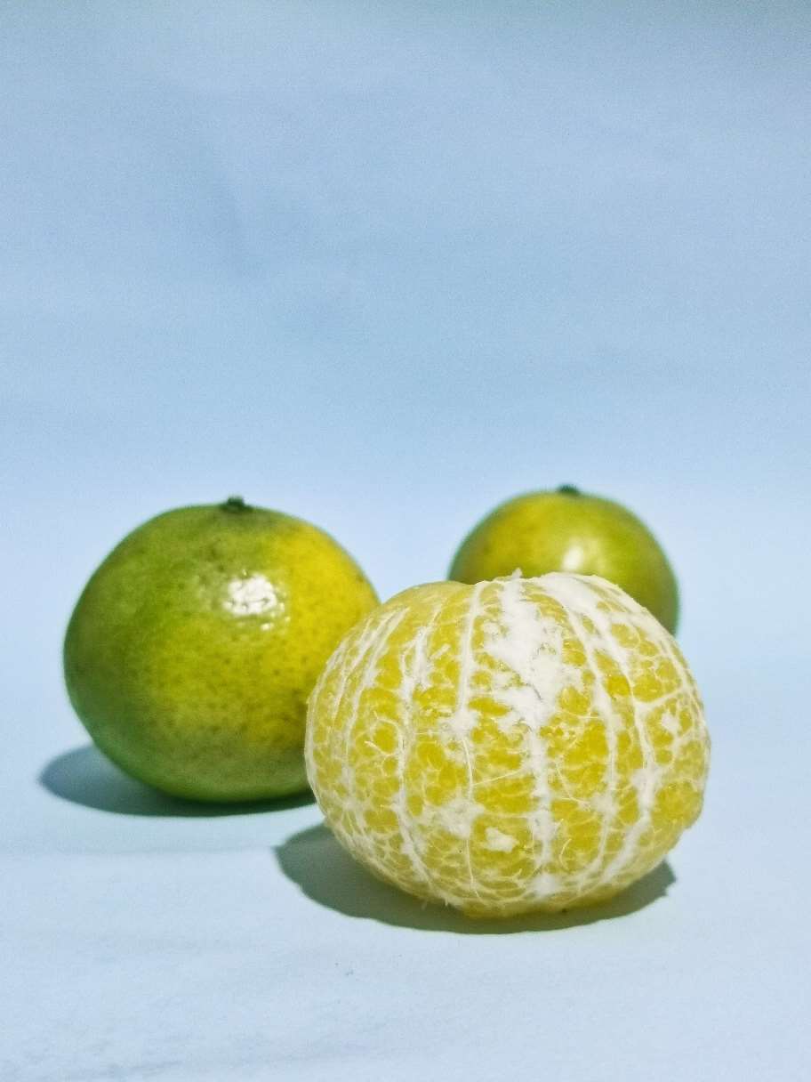 皇帝柑
