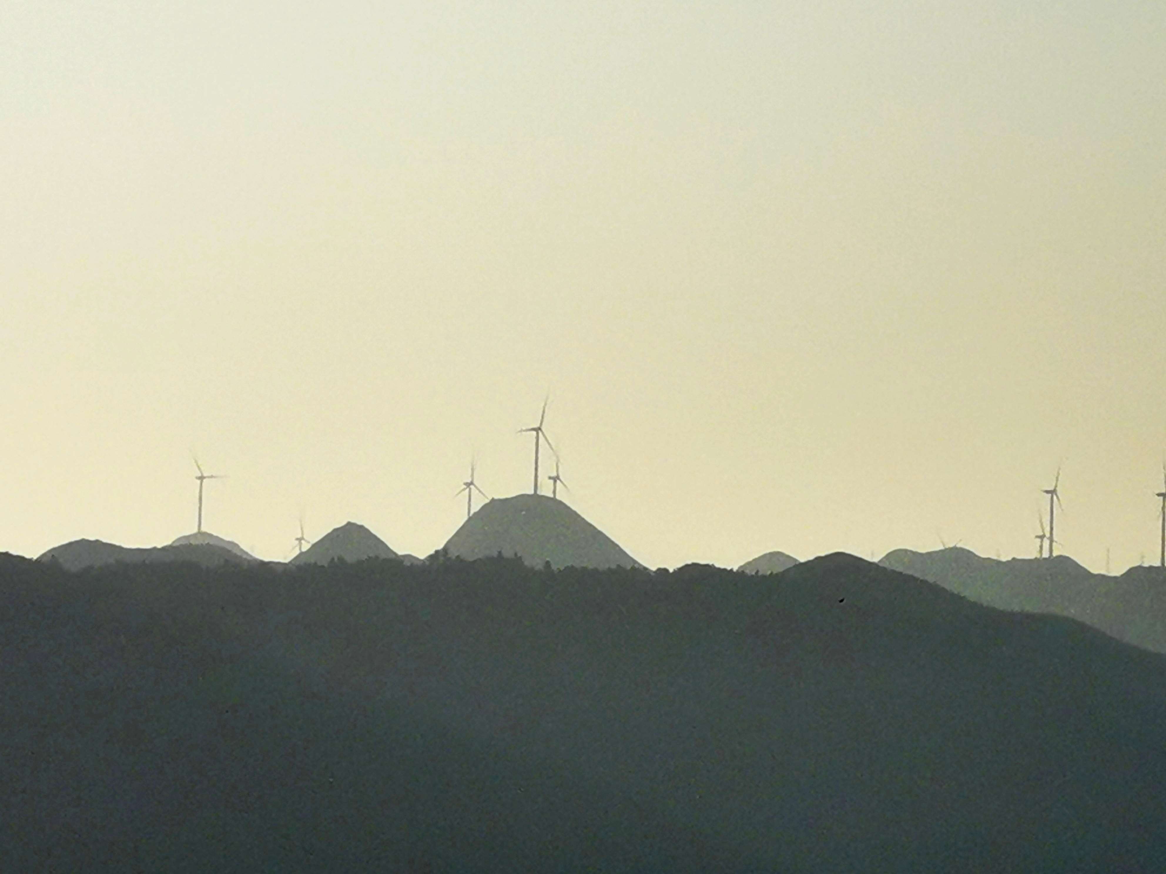 春时小景