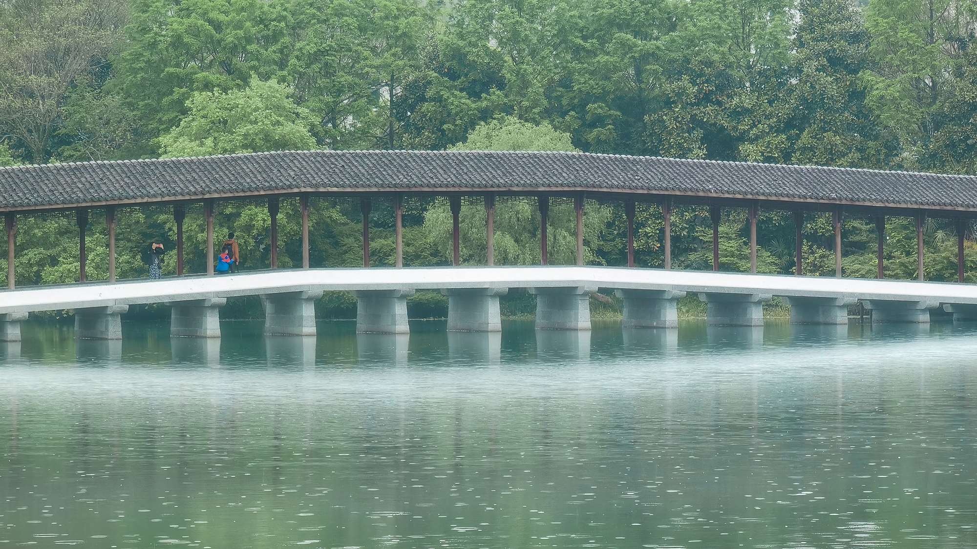 雨中景