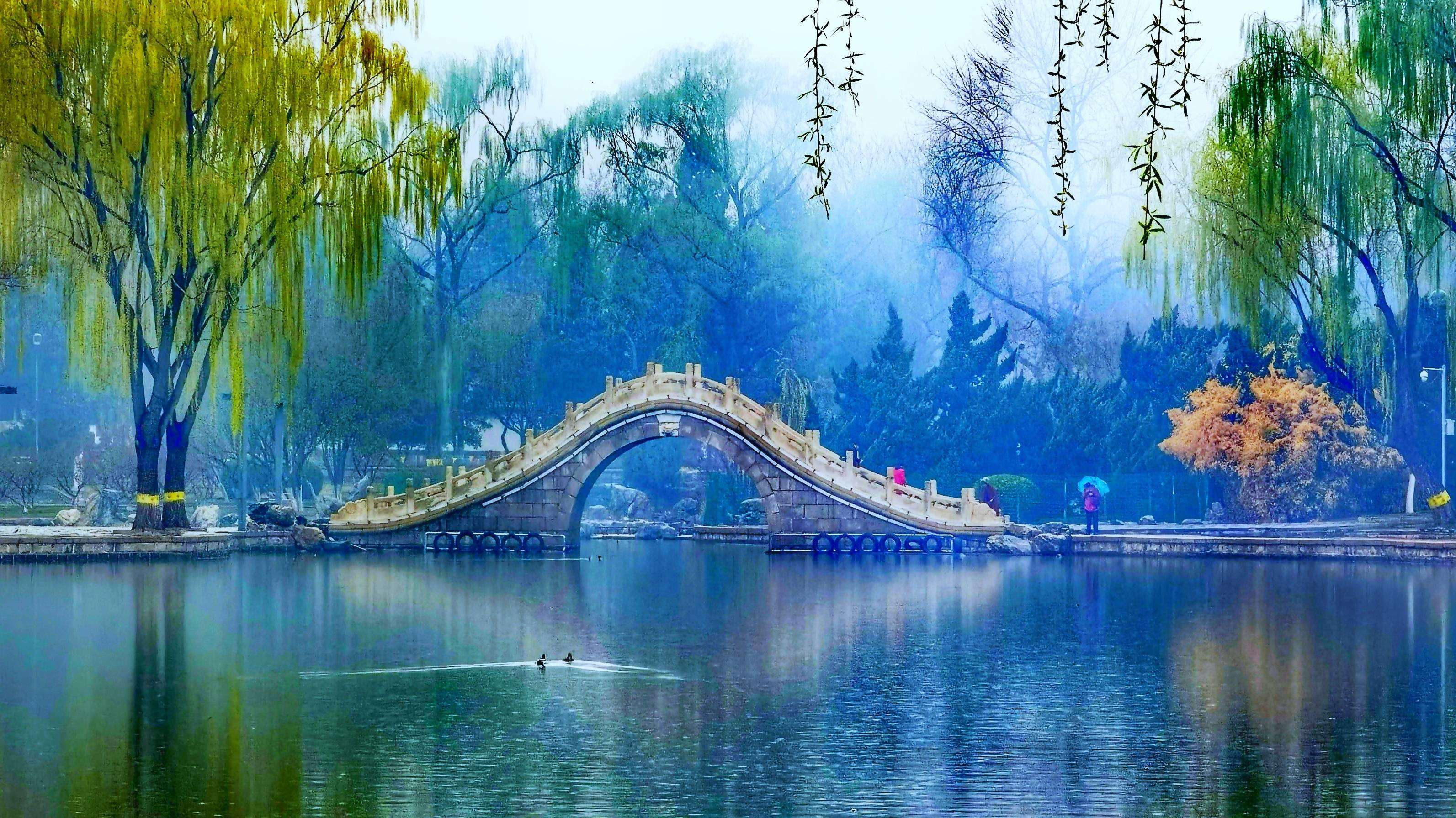龙潭春雨