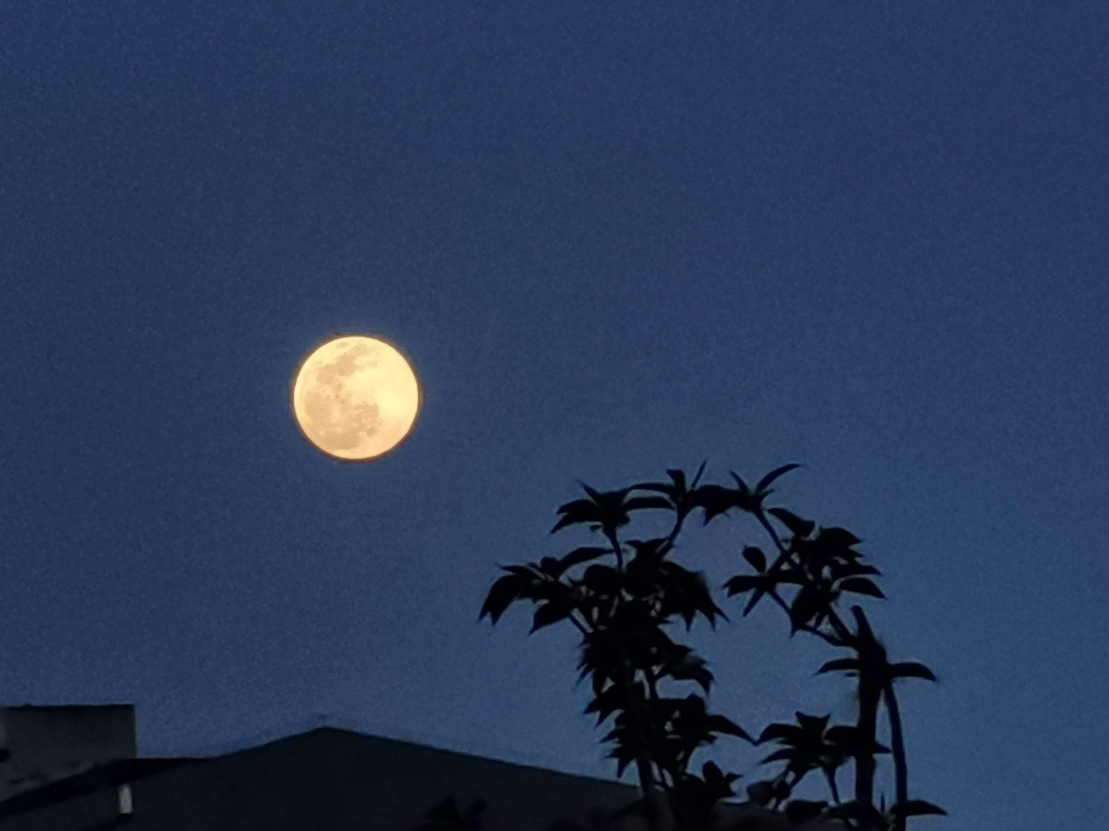 至美一拍
