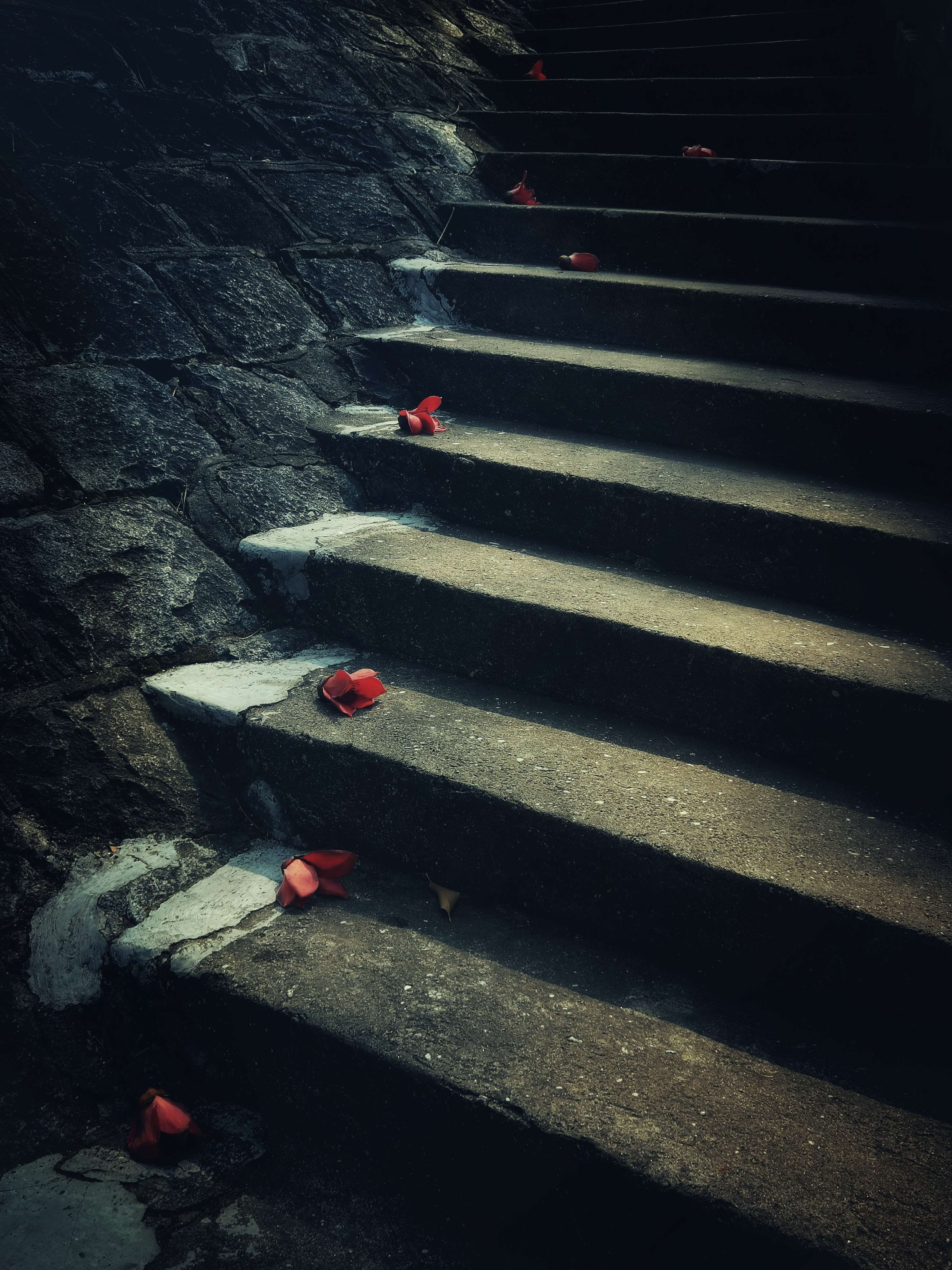 落花