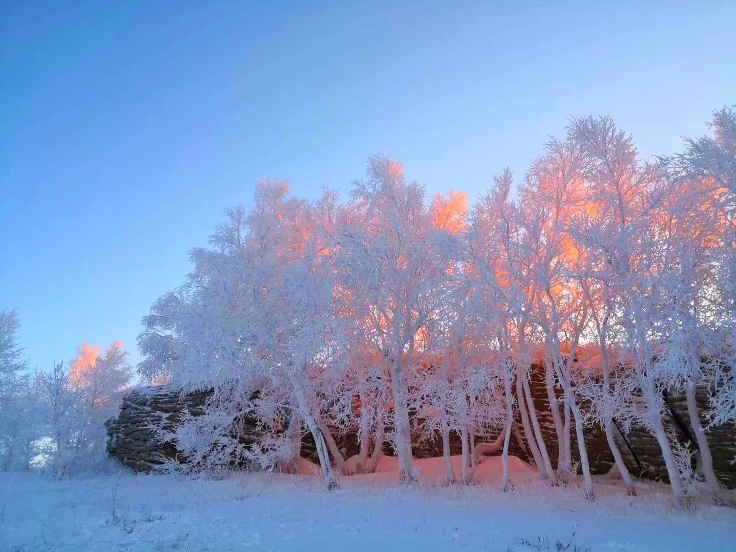 皑皑：洁白的样子，多用来形容霜雪。洁白的积雪银光耀眼。