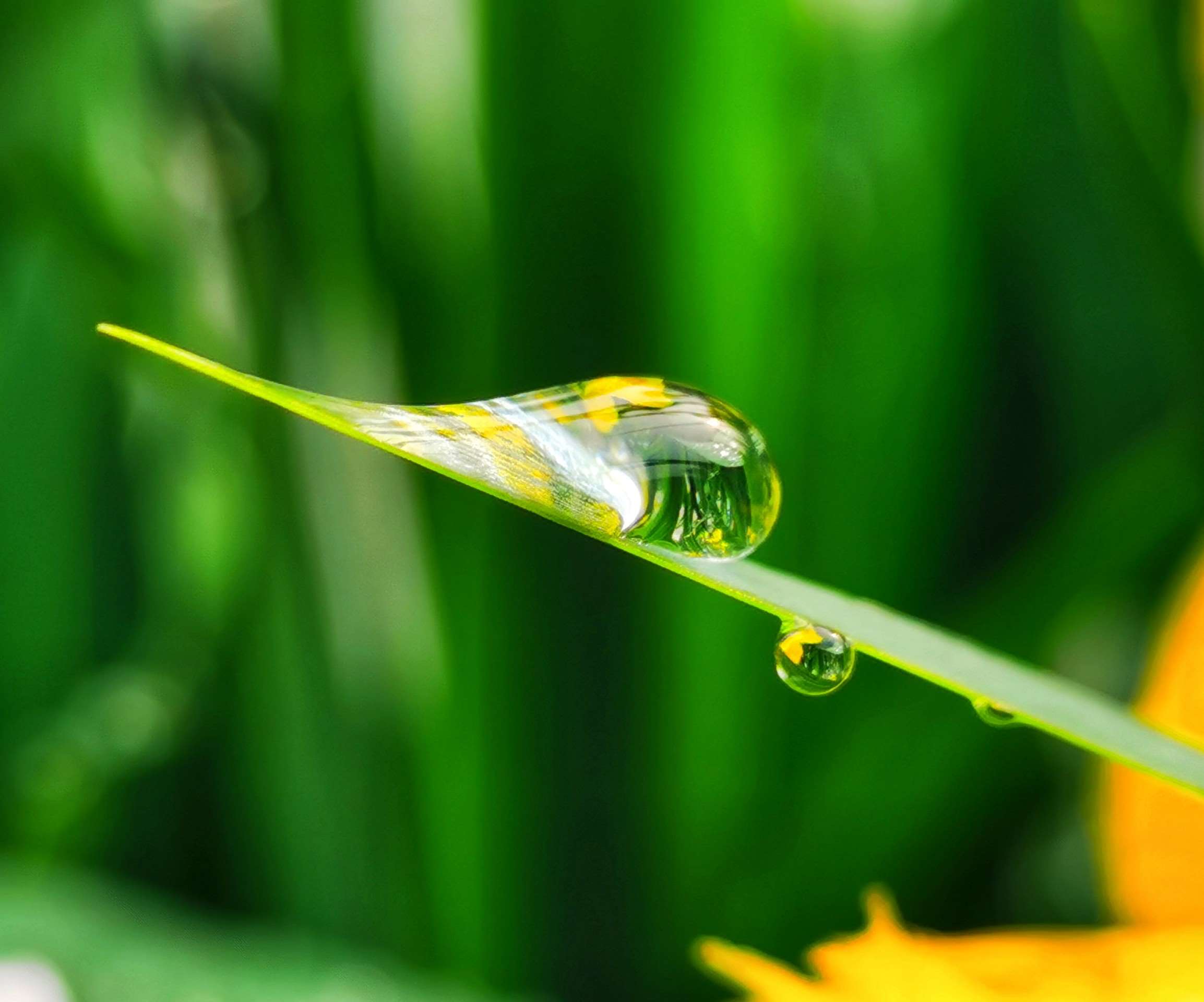 雨珠