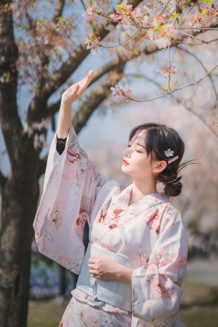 春日樱花美女写真